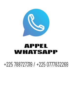 WhatsApp call